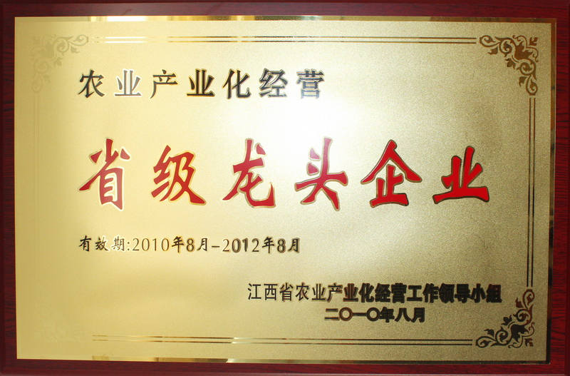 榮譽(yù)-江西省省級(jí)龍頭企業(yè)